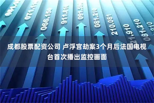 成都股票配资公司 卢浮宫劫案3个月后　法国电视台首次播出监控画面